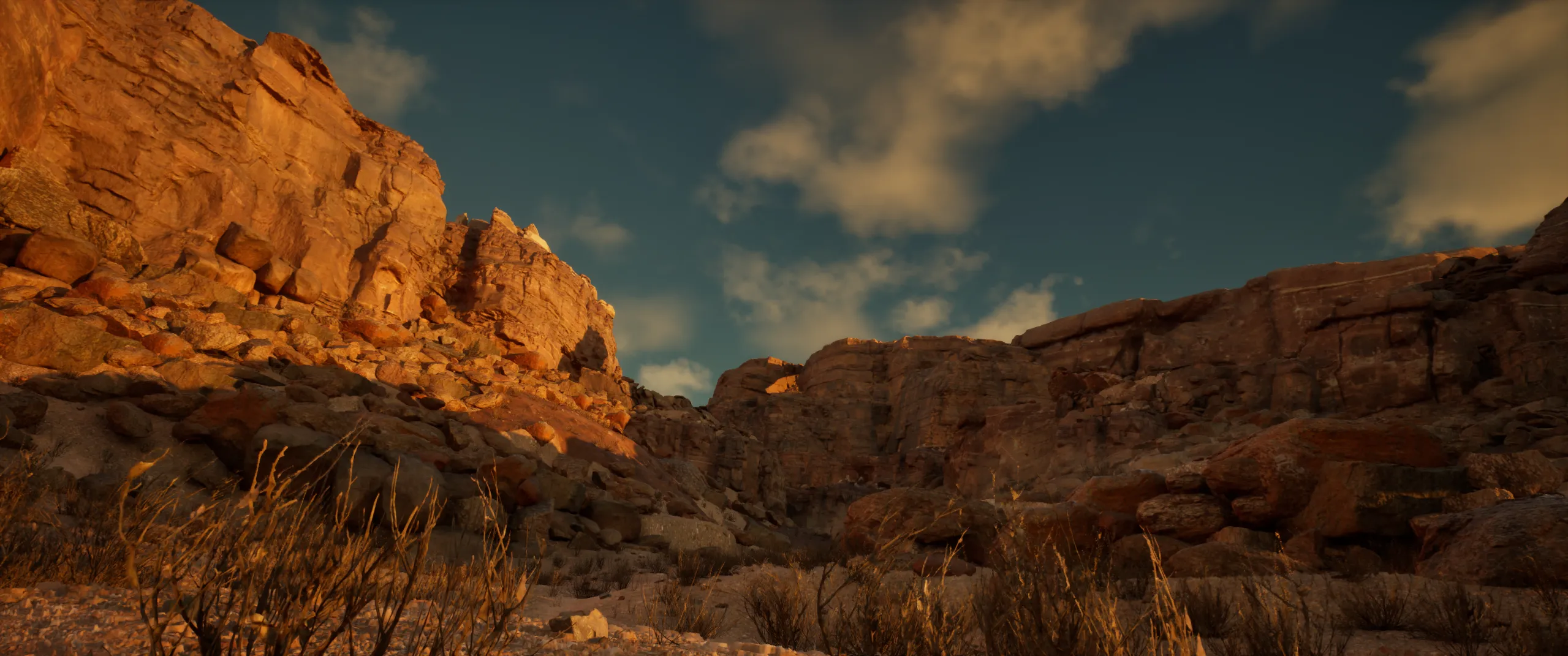 Canyon at blue hour