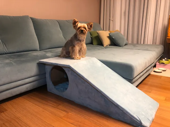 Dog Stair