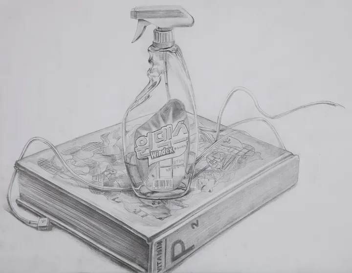 Windex P